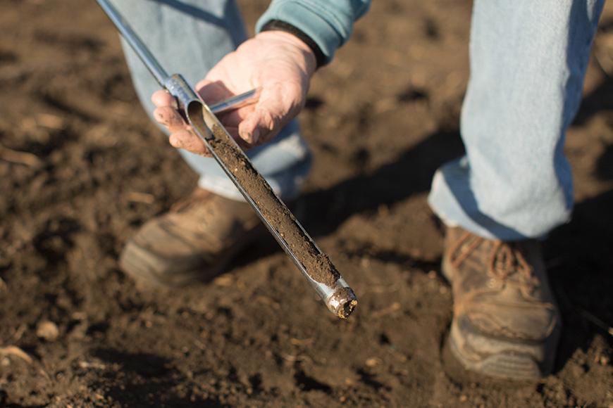 ProAgND's tweet image. With crops being harvested, now is the time to get your fall soil sampling done to help start preparing for next year. Sampling services available in ND, SD, MN, and eastern MT. 

Send me a message to get on the schedule.

#proagsolutions #agbiz #bismarck #soilsampling