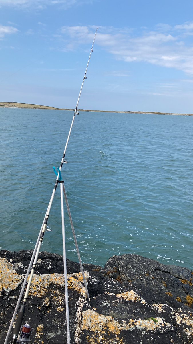 HazzerMorrell's tweet photo. Had a lovely fishing morning today in Anglesey! #Fish #Anglesey  @Aliwack1 @shawcrossblue @dawnholding1 @AmandaM86278791 https://t.co/mGTRPTDBX5