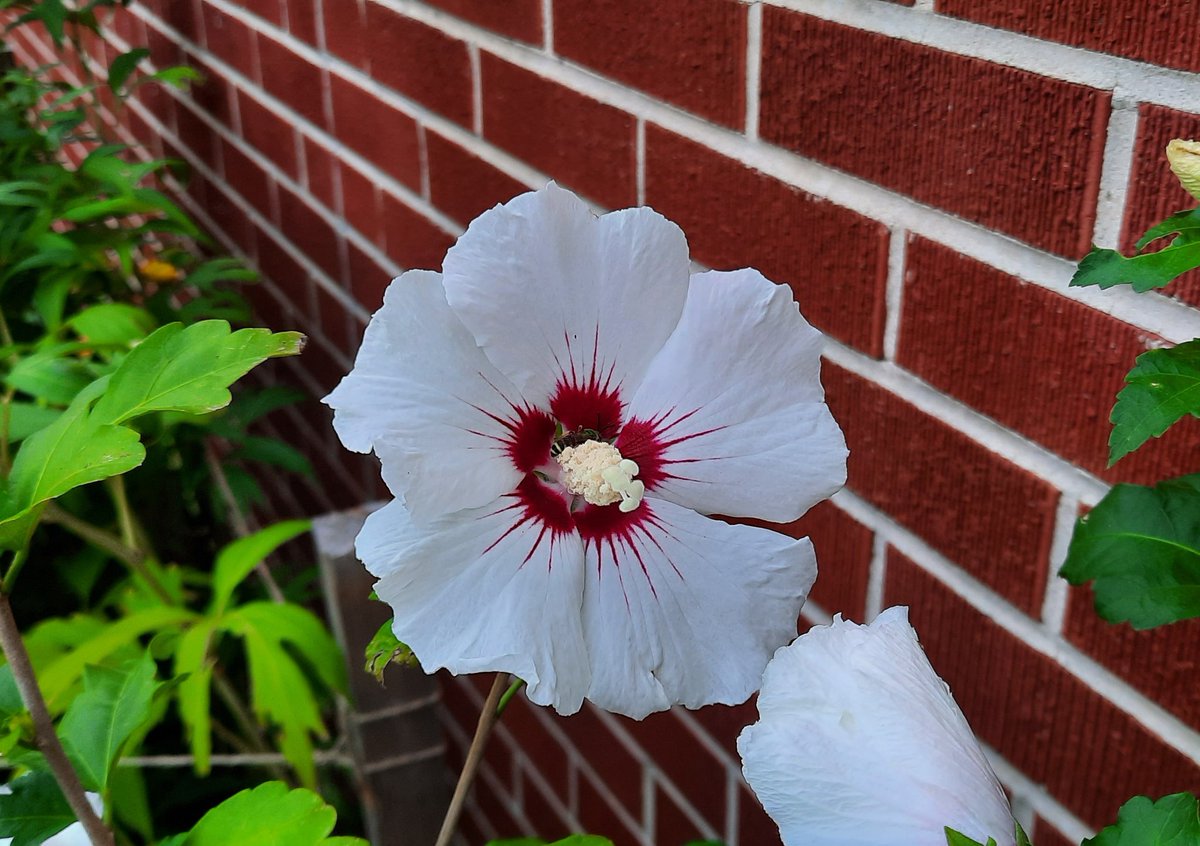 Jen Edwards tweet media