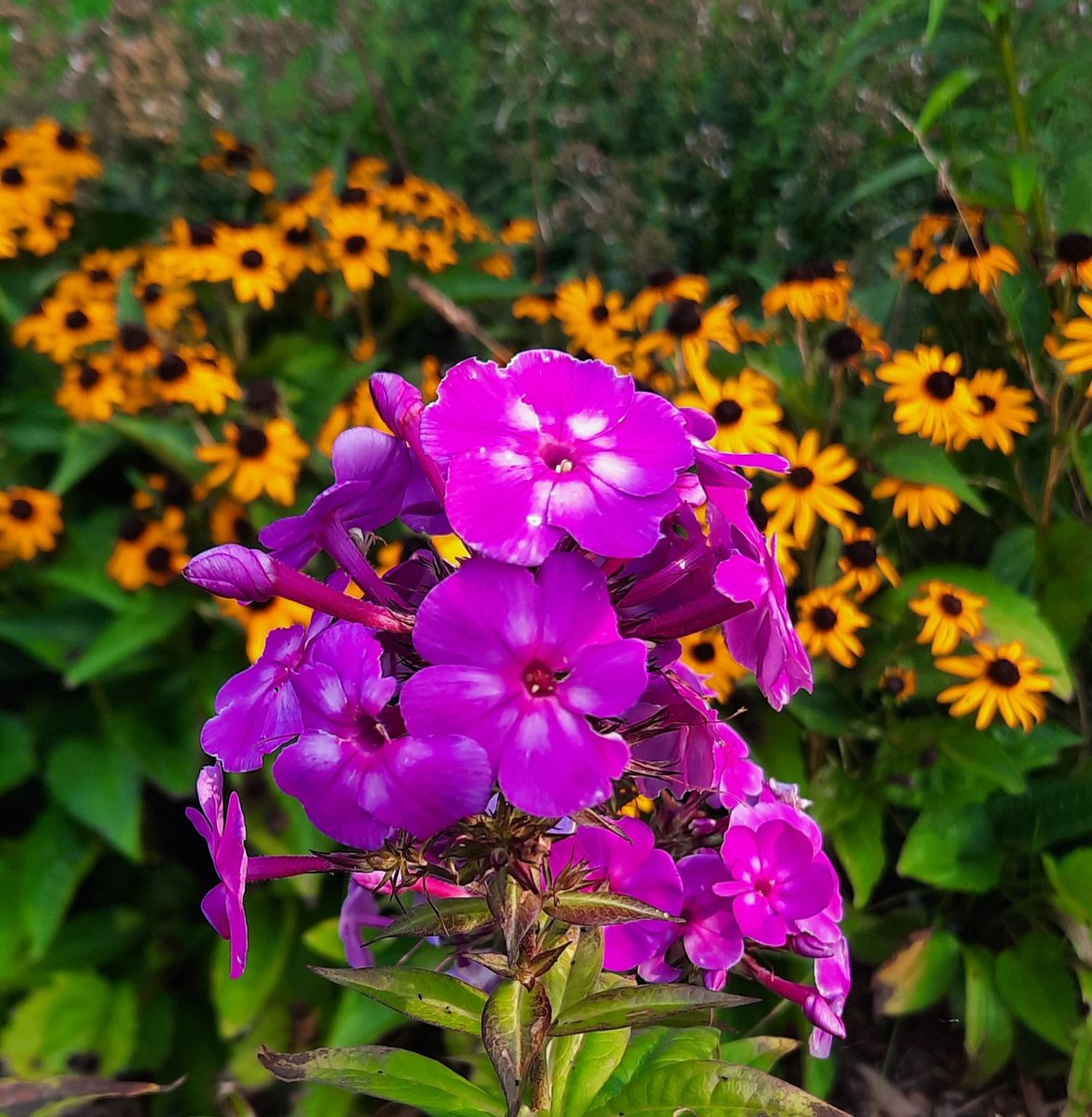 Jen Edwards tweet media