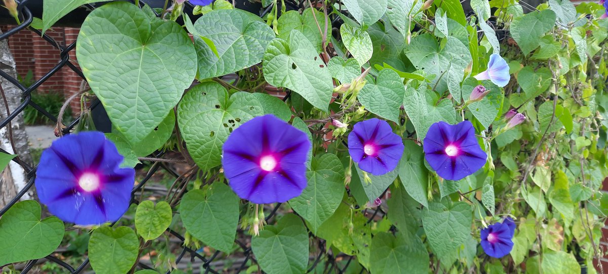 Jen Edwards tweet media