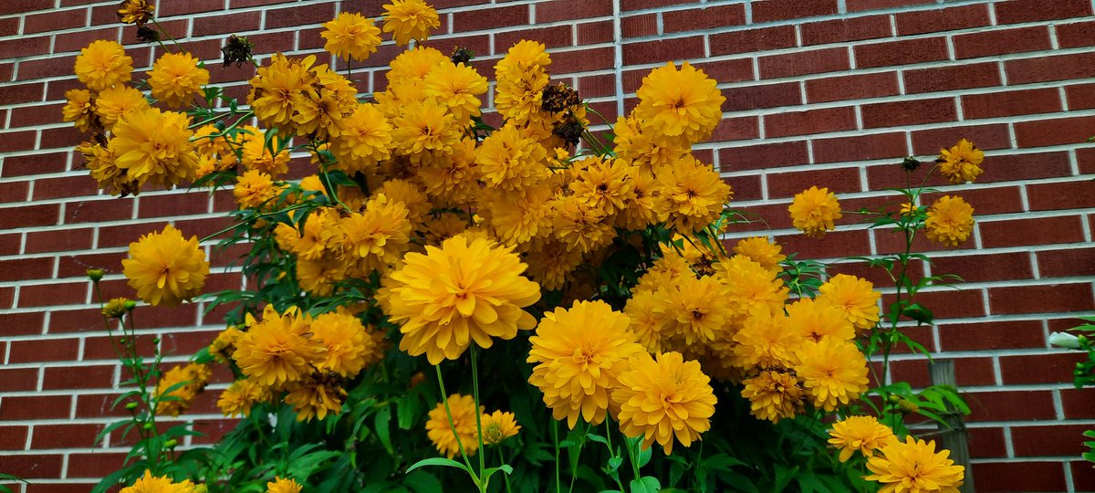 Jen Edwards tweet media