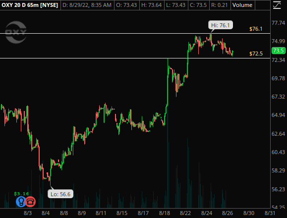 Watchlist 8/29 

$SPY 398p under 400 
$AAPL 158p under 159.5
$OXY 72p under 72.5 / 77c over 76.1