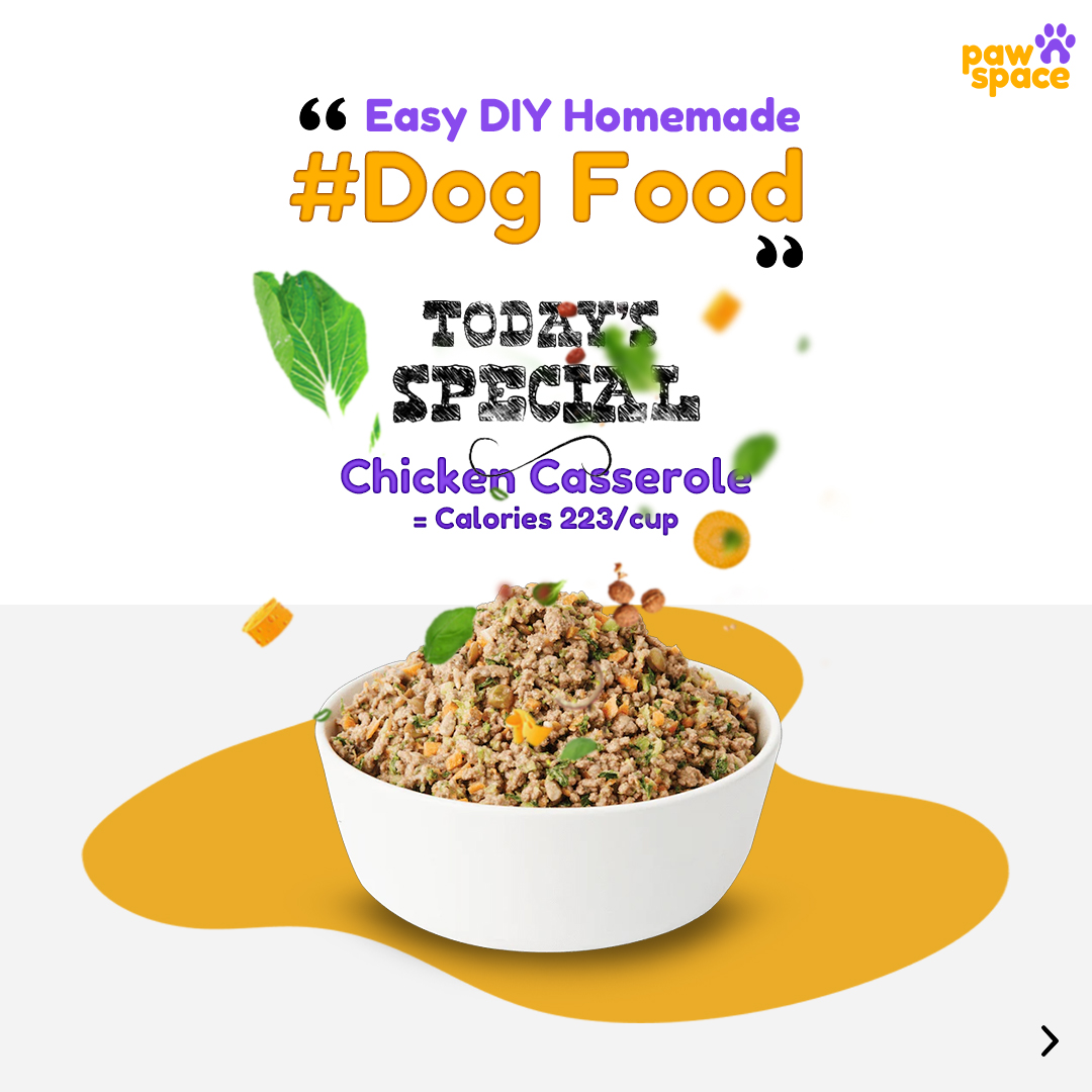 Pawspaceindia's tweet photo. You may want to bookmark this beautiful dish with all the goodness of vegetables under dog food recipes for dogs with allergies. It is easy to cook and contains wholesome ingredients.
Follow, Like, Share &amp; comment which is the next recipe you want us to add to your Bucket list. https://t.co/vqZ7bo7uud