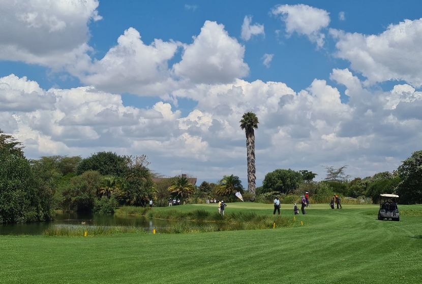 Tembea Kenya Pollmans tweet media