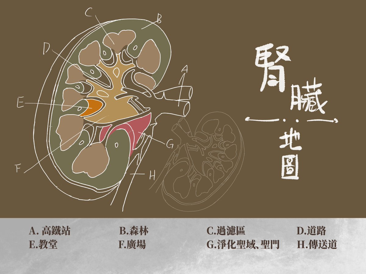BodyWorld2022's tweet photo. https://t.co/aizLL8rwey