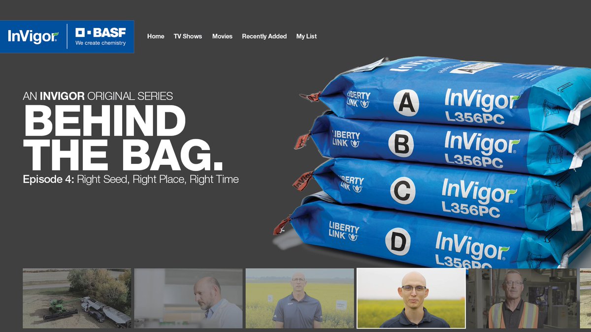 There’s a lot that goes into every bag of #InVigor hybrid #canola. Watch this two-part video to see what our production team does behind the scenes to ensure you have what you need – when you need it. Check it out at youtube.com/watch?v=3TRmMv… #WestCdnAg