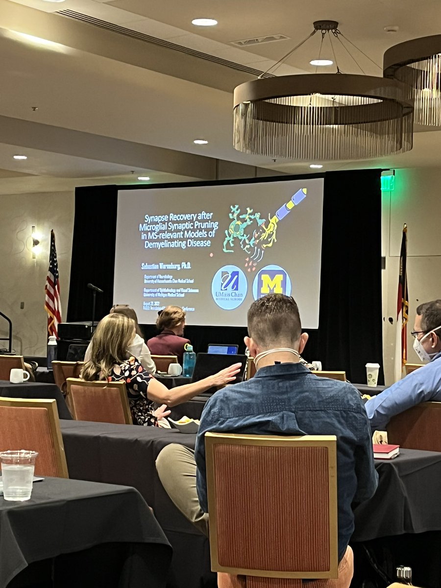 Sarahandscience's tweet photo. Looking forward to day 2 of the @FASEBorg translational neuroimmunology conference https://t.co/LnsQF1rxZd