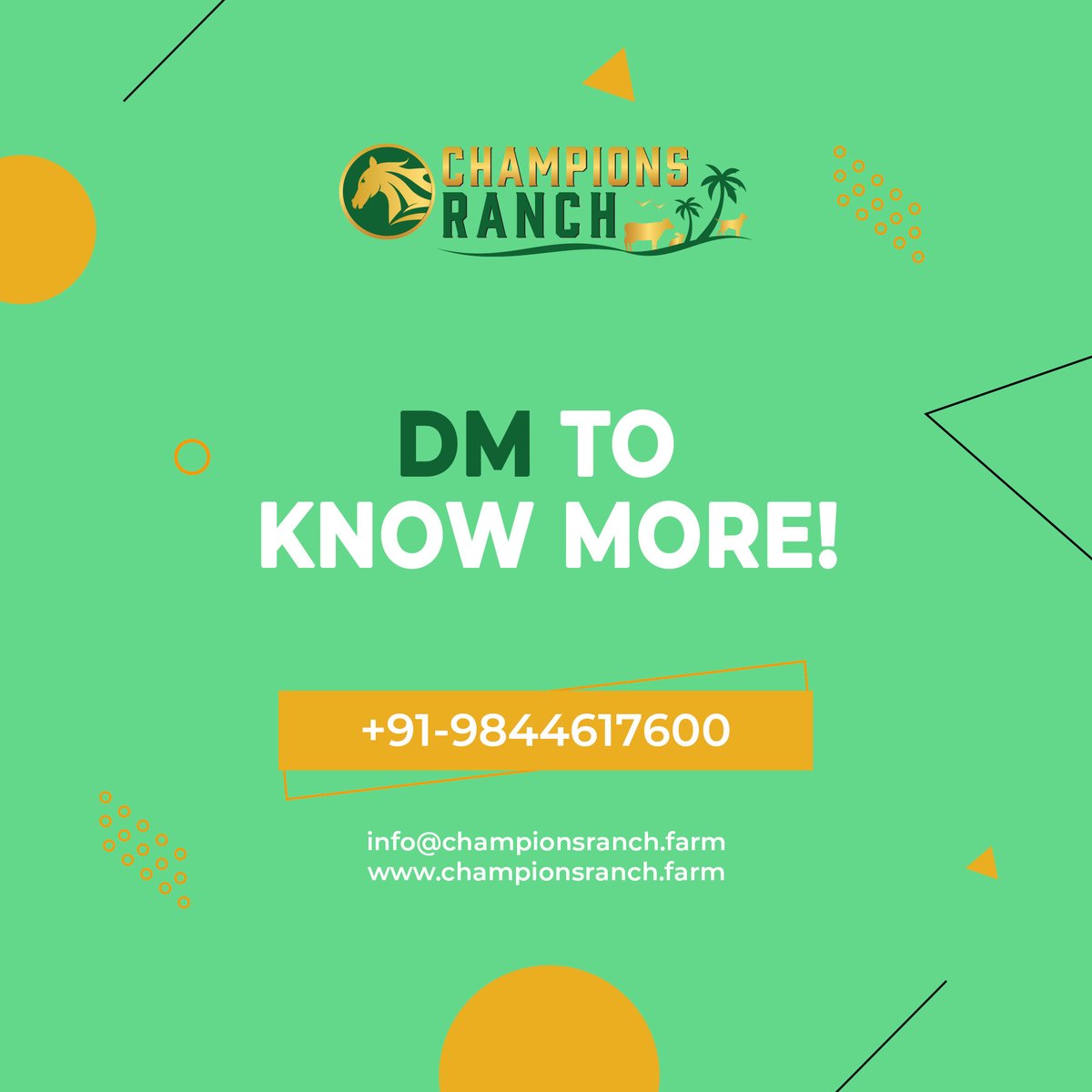 championsranch's tweet photo. Make your working hours more Productive With our (Work from farm)
Hurry up! Book your WFF
+91-9844617600
https://t.co/Ywq62SSrcW
#championsranch #championsfarm #workation #workations #workfromfarm #workfromanywhere #work #corporateworklife #wifi #productivity #corporateevents https://t.co/uI0VxG1ZG5