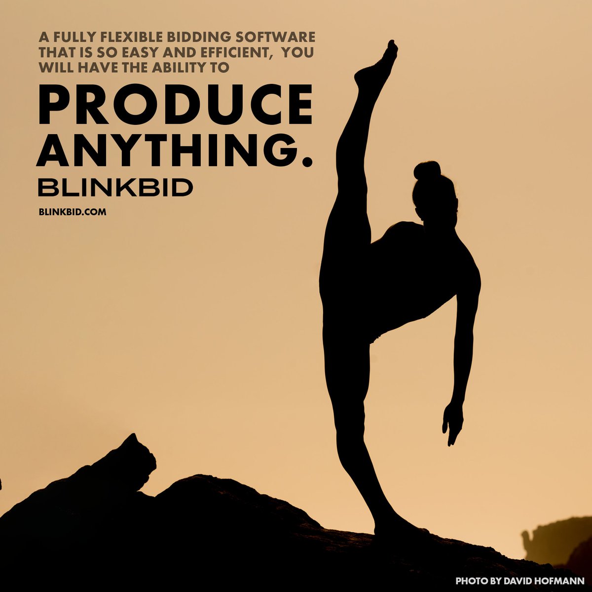 Blinkbid Software tweet media