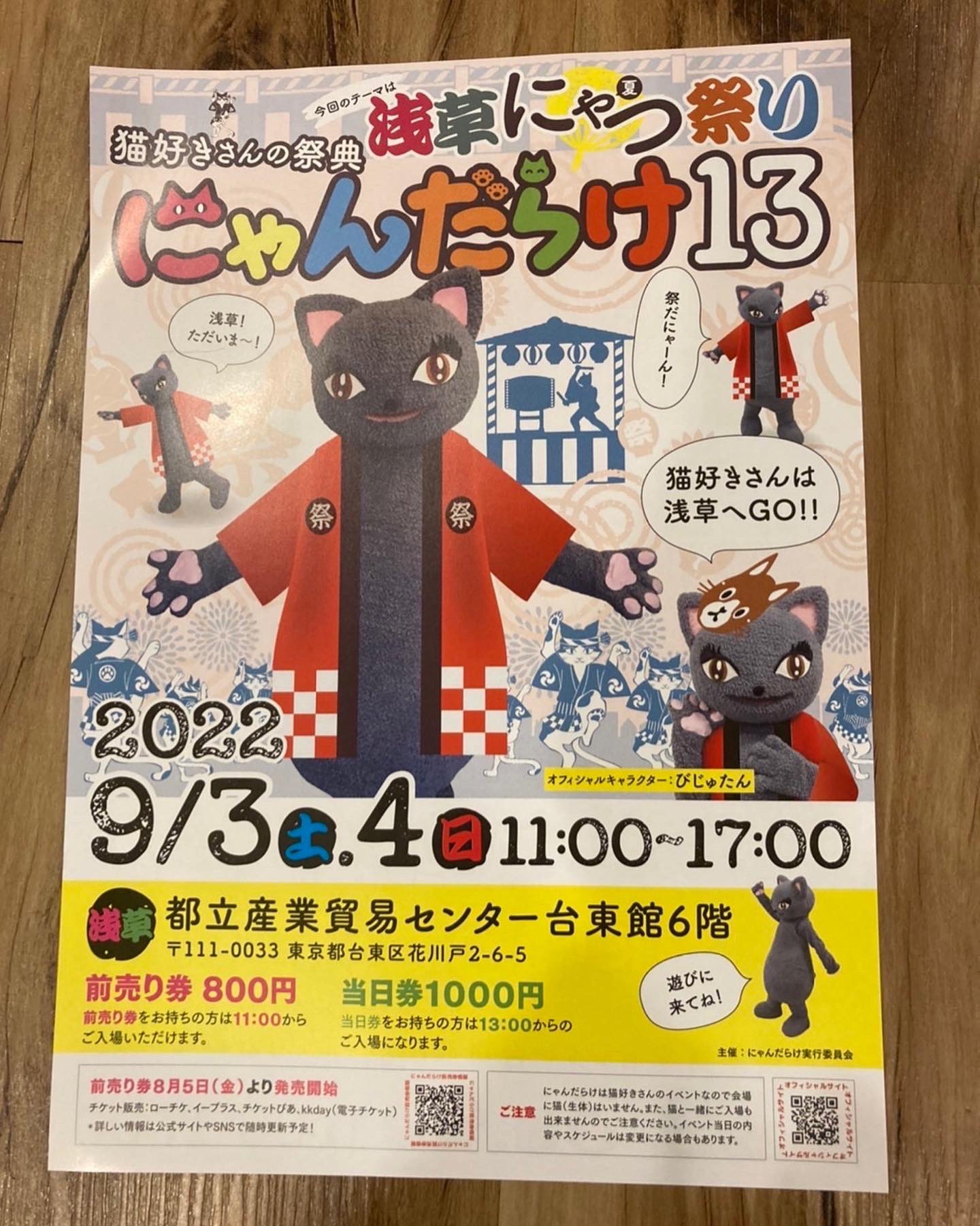 猫カフェ 猫まるカフェ別館 Nekomaru East Twitter