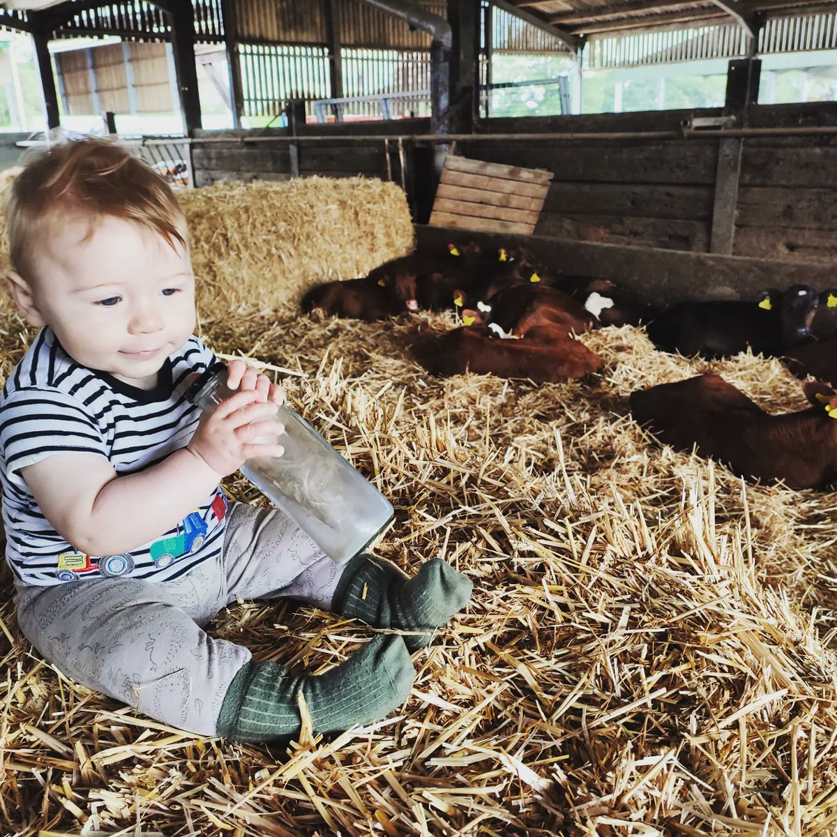 CW Farm Vets tweet media