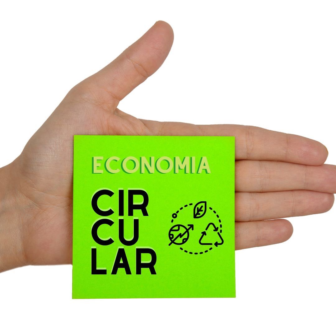RedIbx's tweet photo. Economía circular: clave para hacerse cargo del cuidado del medio ambiente y el desarrollo sostenible.
👉metodología Circular Design Thinking®, detectando oportunidades de innovación circular, a través del desarrollo de procesos creativos
+Info https://t.co/J8pU5x3wi6
#redibx https://t.co/lD8fOFvVf1