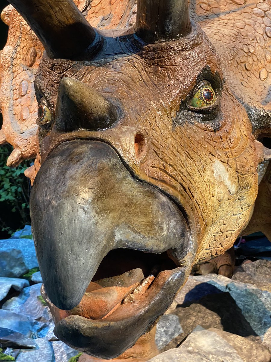 PSvanT's tweet photo. Nice day @oljemuseet #dino https://t.co/fZtKw64t0v