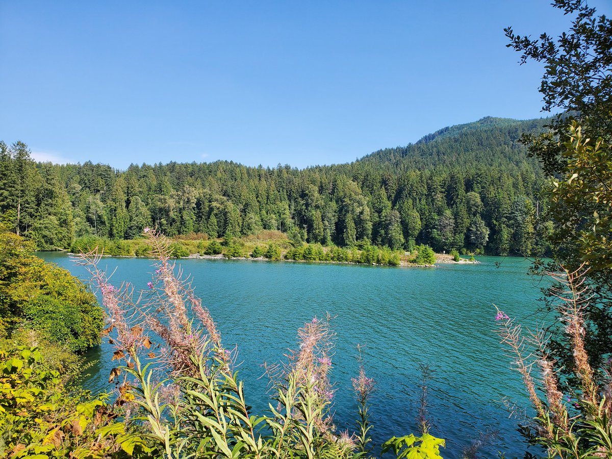 Aspiring photographer