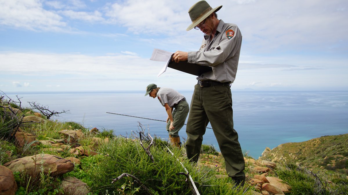 wnpa1938's tweet photo. Western National Parks Association offers three different #awards to people who make a difference in parks. WNPA's Edward B. Danson Award applauds those who show exceptional support and loyalty to #WNPA and national parks.
Nominate at: https://t.co/U54FdRZW49 https://t.co/vrsXRestaz