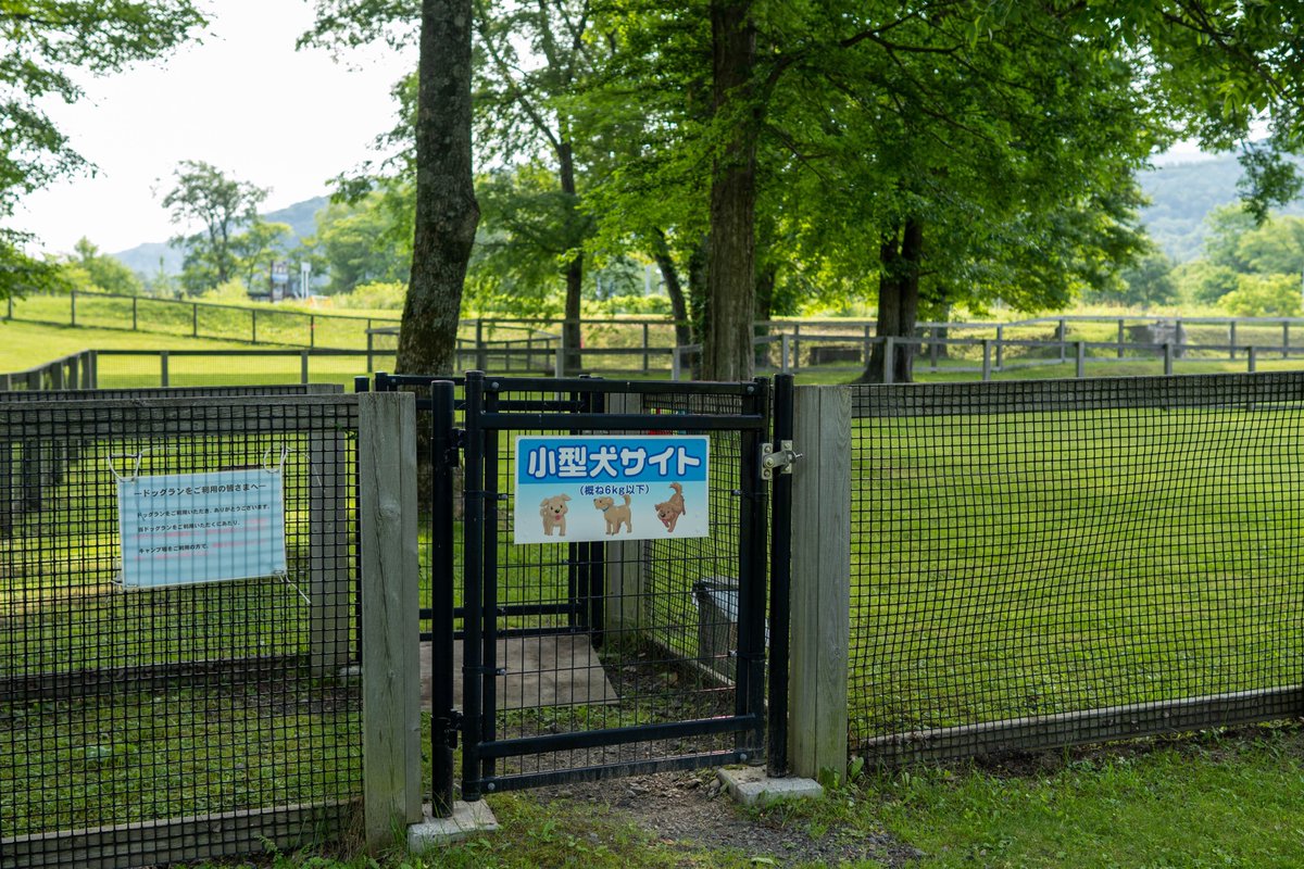 Possi_Labo's tweet photo. ペット連れのキャンパーさんへお聞きします🎤

🐶ペットが喜ぶキャンプ場、連れて行きやすいキャンプ場の条件って何でしょうか？

ドッグランがある？
放し飼いでもOKのドッグラン区画がある？
芝サイトが良いですか？

キャンプ場選びの優先事項などあれば教えてください🙏 https://t.co/vQswr67Wnd