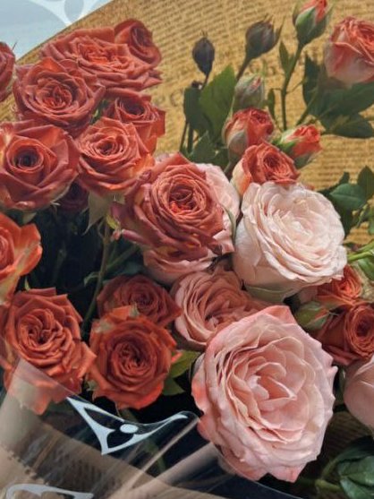 lin_daai's tweet photo. It is the time you have wasted for your rose that makes your rose so important. https://t.co/drm28DWGUr