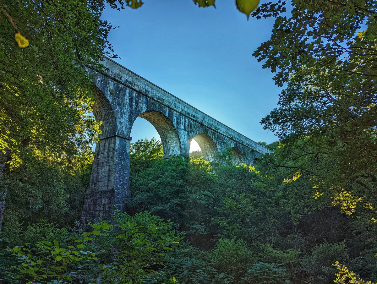 Chris_Paul's tweet photo. A recent trip to The Treffry Viaduct in the Luxulyan Valley, Cornwall https://t.co/UXbM0haHu9