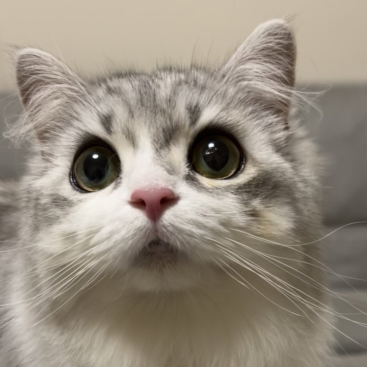ぴえんすぎん？？？🥺