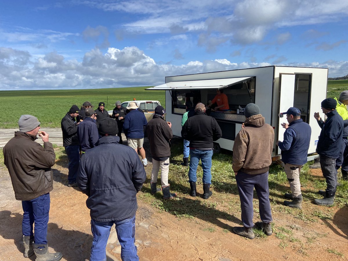 David Pfeiffer tweet media