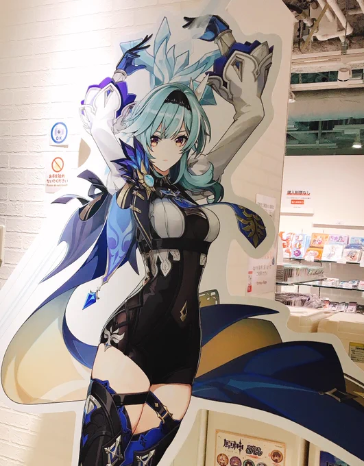 念願の 