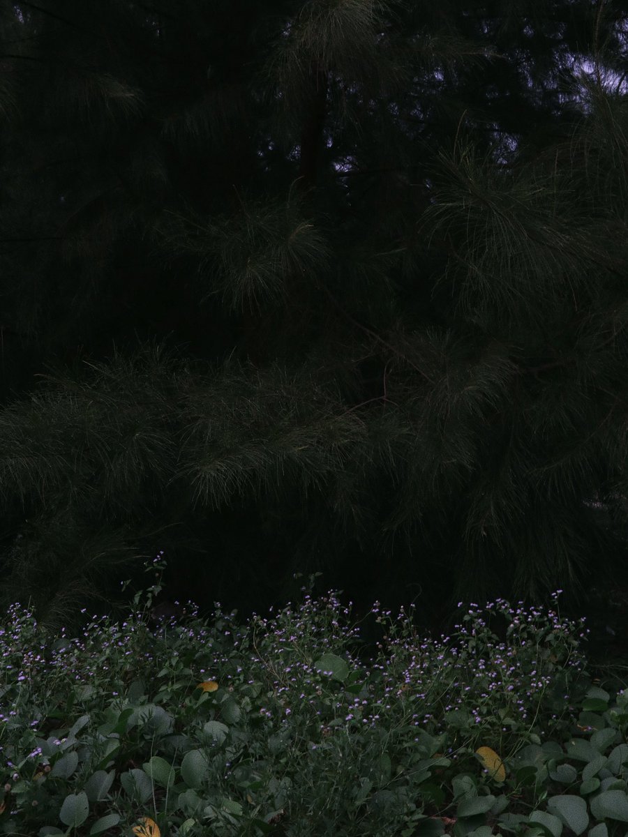 sofiahaznii's tweet photo. escaping reality. https://t.co/hoPSBeUtXE