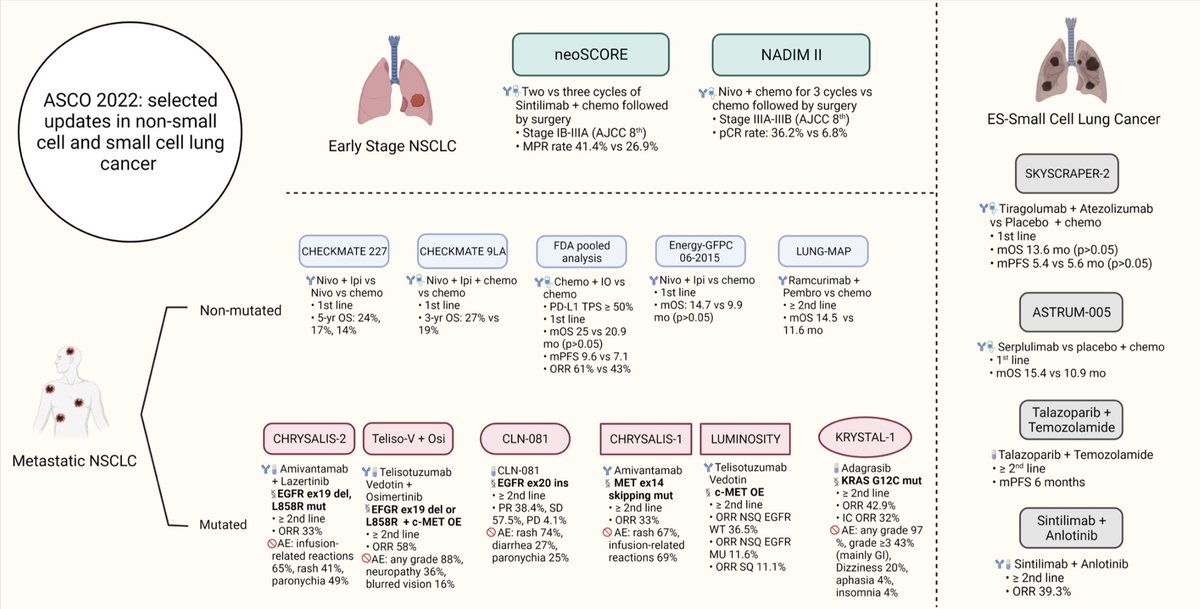 #ESMO22 @myESMO is 🔜, so let’s review where we were @ASCO #ASCO22 in #LCSM to prepare ourselves! We (@FawziAbuRous @esinghimd @msalmanfaisal @drRTee) review major “#Lung #Cancer Treatment Advances ⏩ in 2022” in #CancerInvestigation @HemOncFellows @OncoAlert @LUNGevity @IASLC