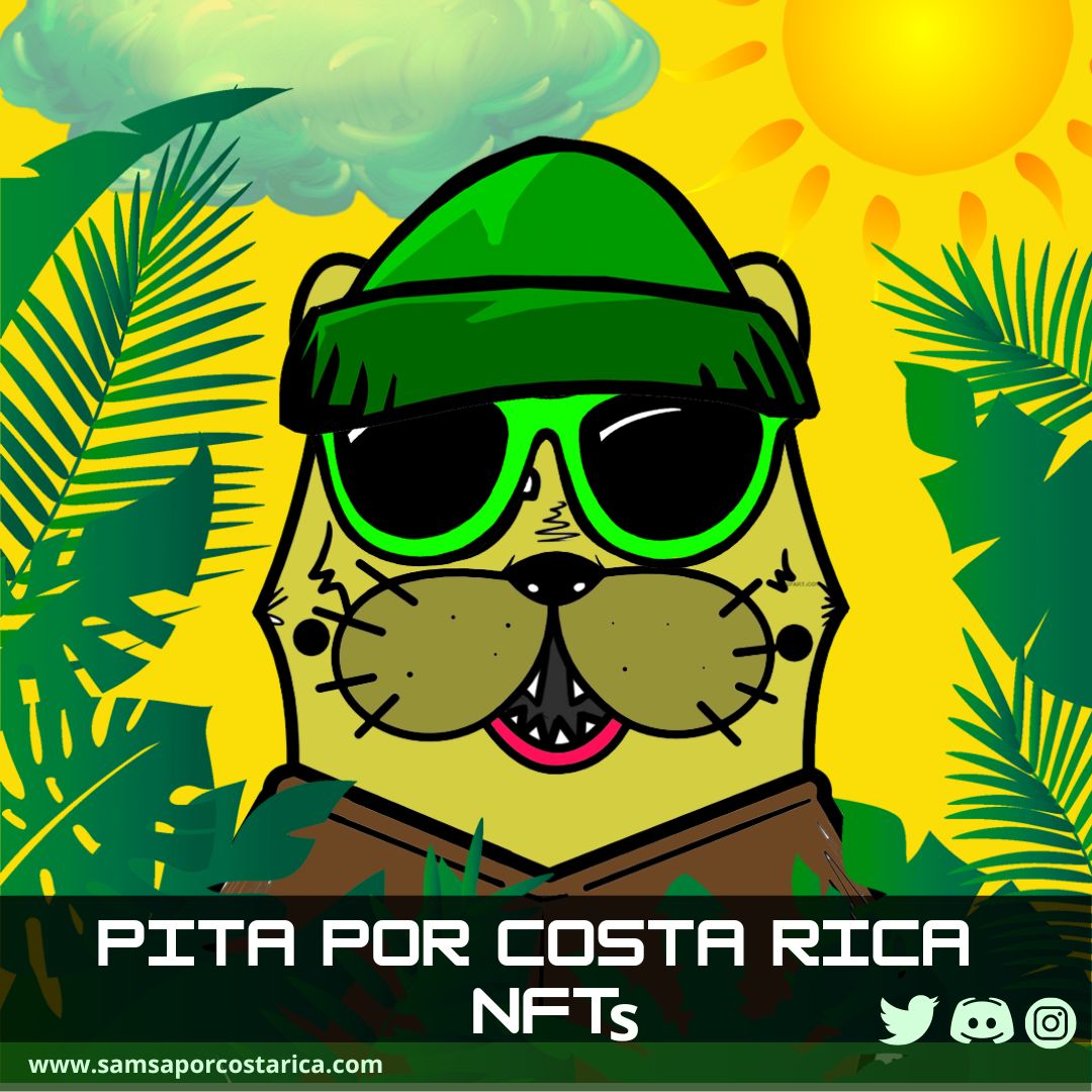 PITA POR COSTA RICA tweet media