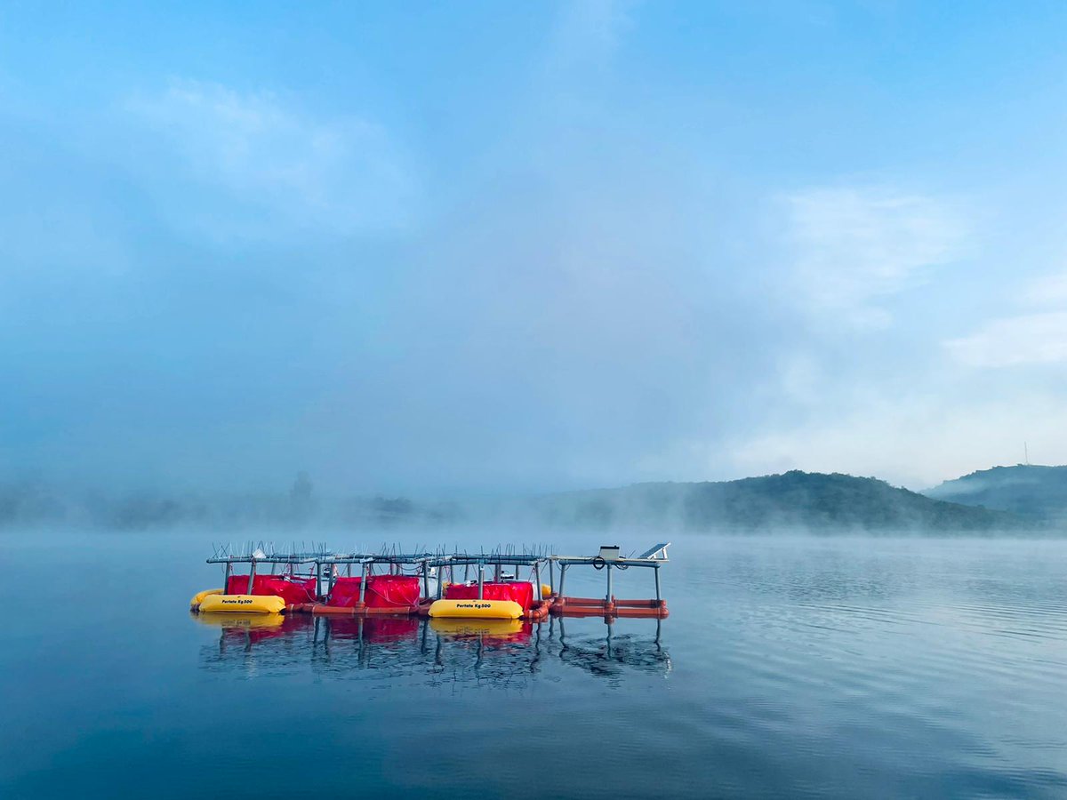 B_Druga's tweet photo. Starting the first lake mesocosm experiments in Romania, ever! Looking into the importance of water stratification and heat adaptation in algae, in the context of the food web. @MStockenreiter  @aquacosm @LMU_Muenchen @LakeGroupAU @EtiLeviK #MesoPike https://t.co/Rx8oadvhd5