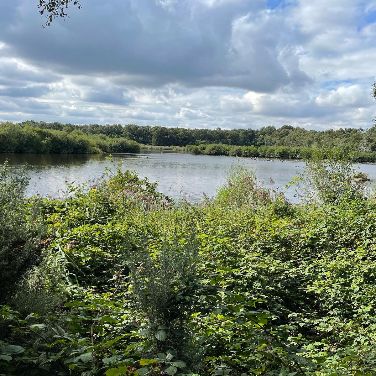 bigbaddoctor's tweet photo. Lovely bird watching kind of a morning and lunch @MereSandsWood
Teddy welcome on a lead and the café is excellent with its own 🐶🍦
#meresandswood #dog #DogsofTwittter #LabradorRetriever #TeddyThompson https://t.co/bI38t8UmTB