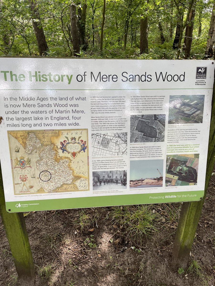 bigbaddoctor's tweet photo. Lovely bird watching kind of a morning and lunch @MereSandsWood
Teddy welcome on a lead and the café is excellent with its own 🐶🍦
#meresandswood #dog #DogsofTwittter #LabradorRetriever #TeddyThompson https://t.co/bI38t8UmTB
