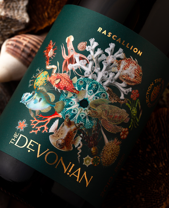 Rascallion Wines, 2021 The Devonian, awarded Top 10 status at the Chenin Blanc Challenge. This old vine wine was sourced from the Paardeberg Mountain region of the Swartland. Due for release later in 2022, the wine will keep for another 8 to 10 years. #DrinkChenin #Top10Chenin