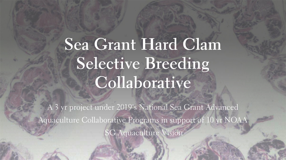 There's a lot of great info here for #aquaculture farms and natural resource managershttp://www.hardclamhub.org/. Happy to be partners in this collaborative! 