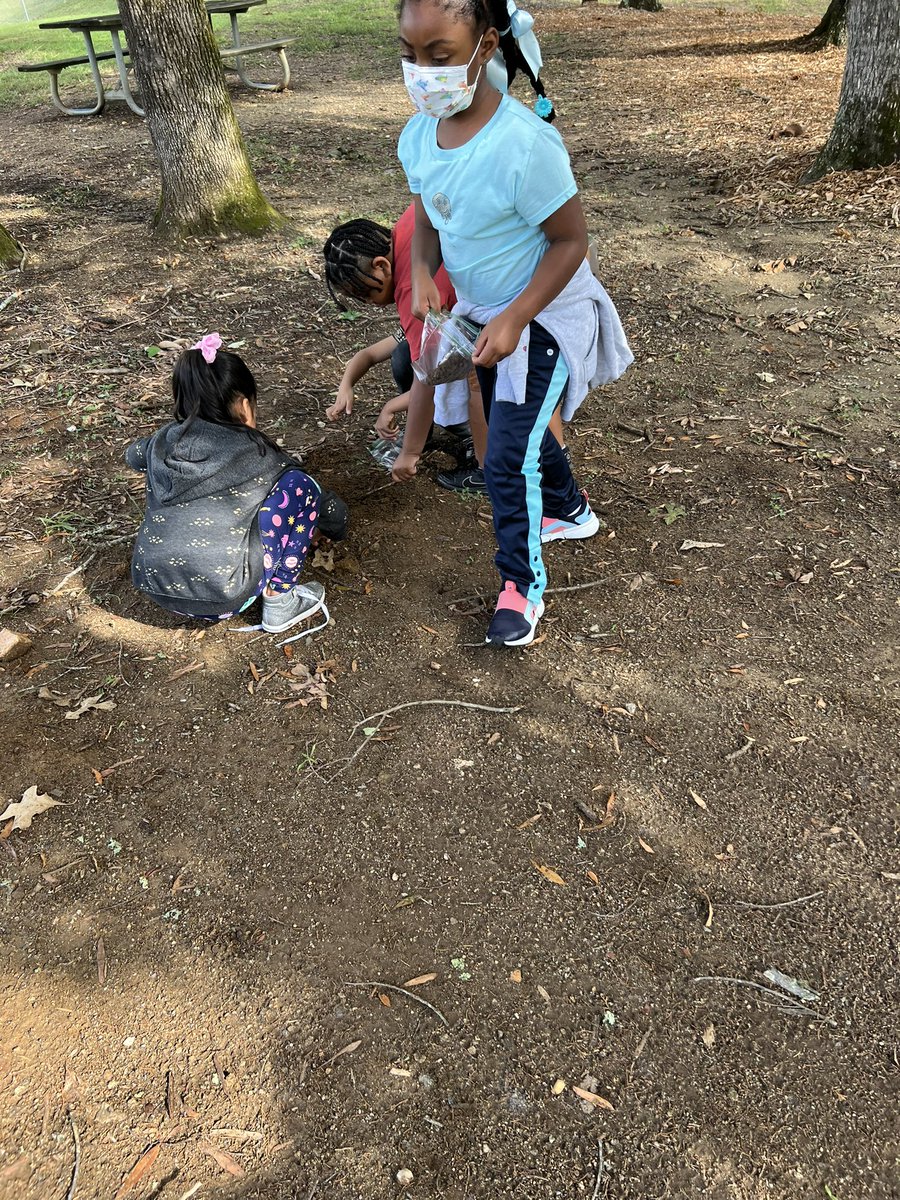 MrsAdamsWMES's tweet photo. Collecting soil to observe it and make models in our science notebooks #ncscience #soil #soilhunt https://t.co/mSL1gl6mA9