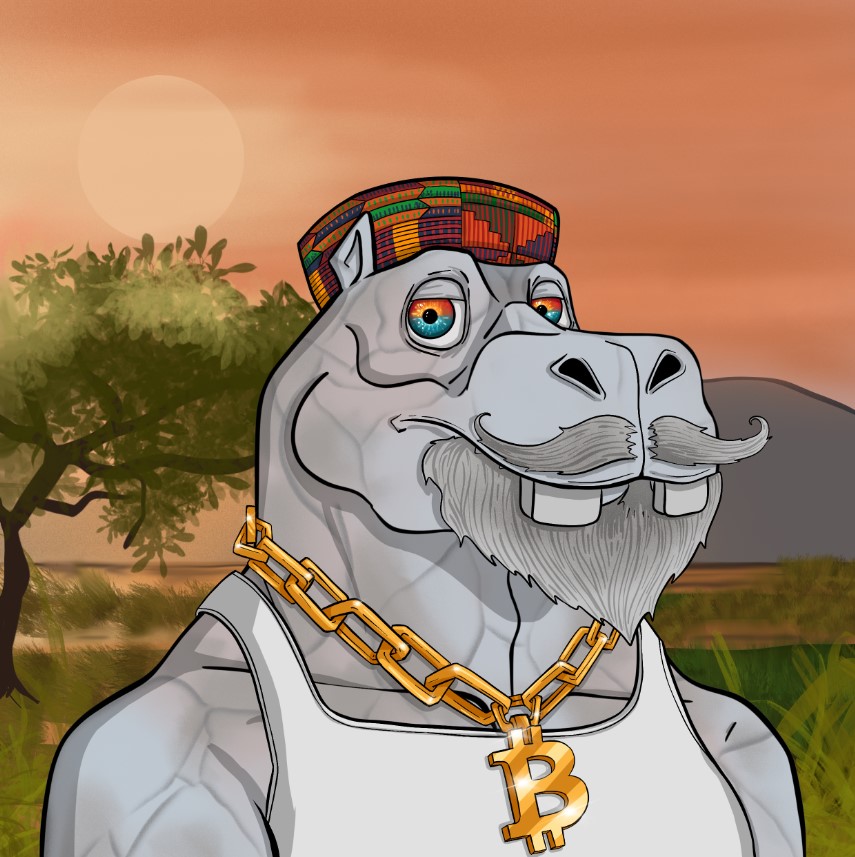 retailinvestor's tweet photo. Some #NFTProjects and #NFTCommunity s are just built different. Increased my @CryptoHipposNFT bag with this beauty just above #NFTfloor price. Want a project that is delivering on their #nftroadmap and then some? Come for a swim in #thewateringhole. #NewNFTProfilePic #NFTutility https://t.co/cQ4IhpILGb
