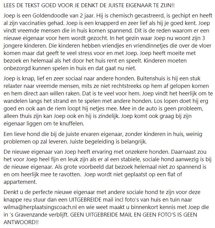 DeRavissante's tweet photo. Joep is een Goldendoodle van 2 jaar. Hij zoekt een nieuwe eigenaar. De tekst goed lezen voor je denkt de juiste eigenaar te zijn voor deze lieve reu. 

RT = veel ❤️❤️❤️❤️❤️ https://t.co/eikv9gqtSN