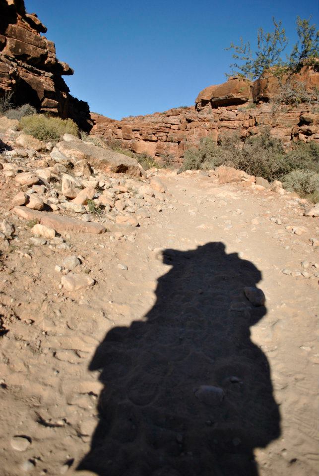 This is from my hike down into the #GrandCanyon to see #HavasuFalls.  Yes, of course, I packed wayyyy to much!