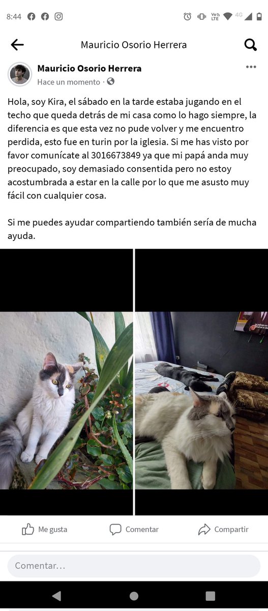 Hoy quiero de todo corazón pedirles ayuda con cualquier rt o compartiendo en sus historias de insta, estoy desesperado