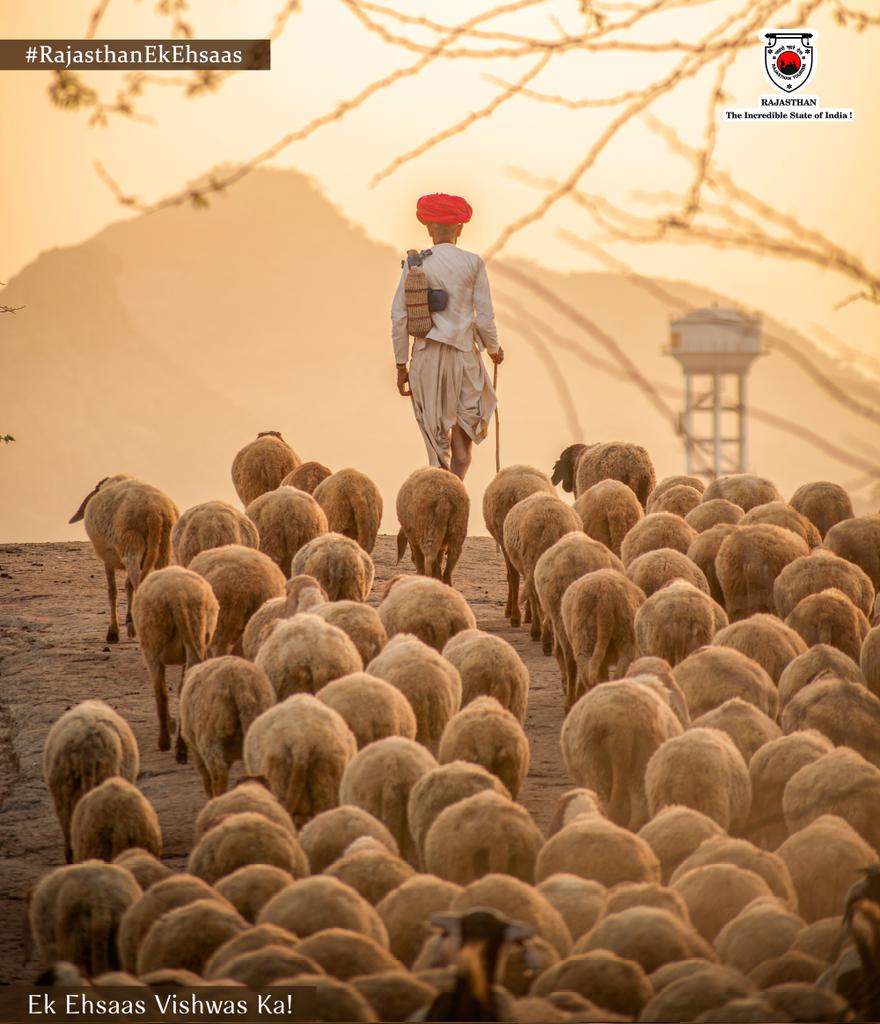 my_rajasthan's tweet photo. Ek Ehsaas Vishwas ka!
#RajasthanEkEhsaas
You will discover the beauty of the path of trust while exploring Rajasthan. 

#rural #rurallife #village #explorerajasthan #culture #trust #ruralrajasthan #discoverrajasthan #explorepage #travelrajasthan #rajasthantourism #rajasthan https://t.co/bx2fh3UTKa