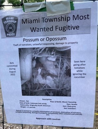 MiamiTwpPARKREC's tweet photo. Crime Spree / Miami Twp. Community Garden.
#SuspectsCaught@MiamiTwpOH https://t.co/Uhw1zG1H7V