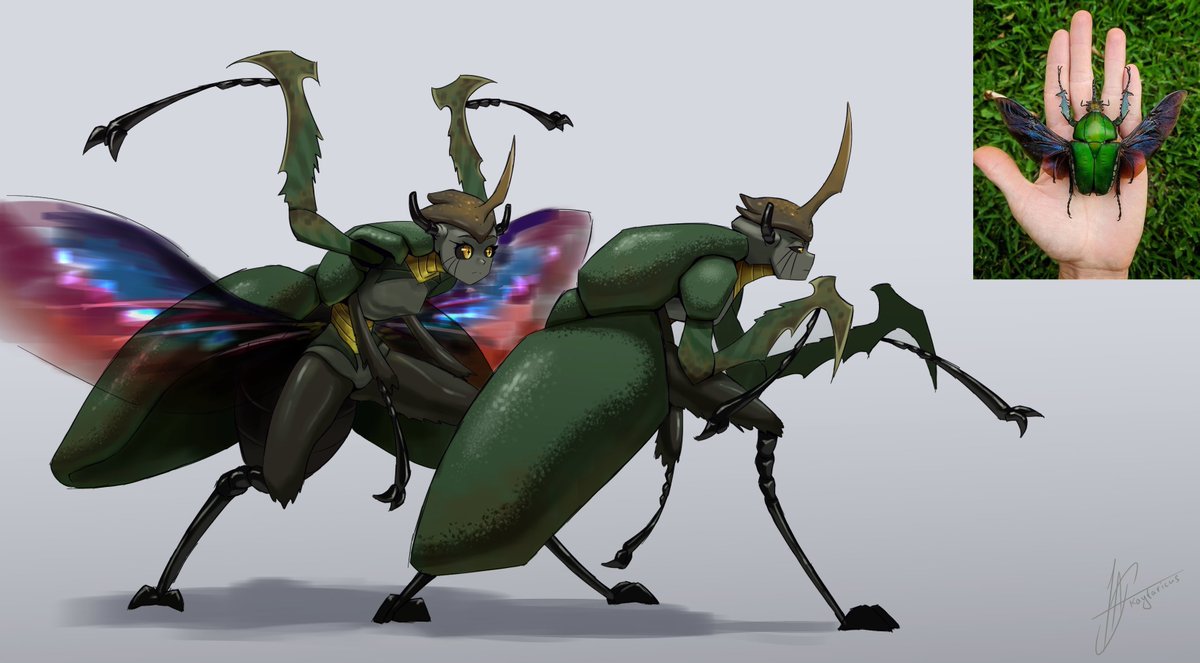 KFaricus's tweet photo. beetle ladies
#monstergirl https://t.co/NJdRq1OVEX
