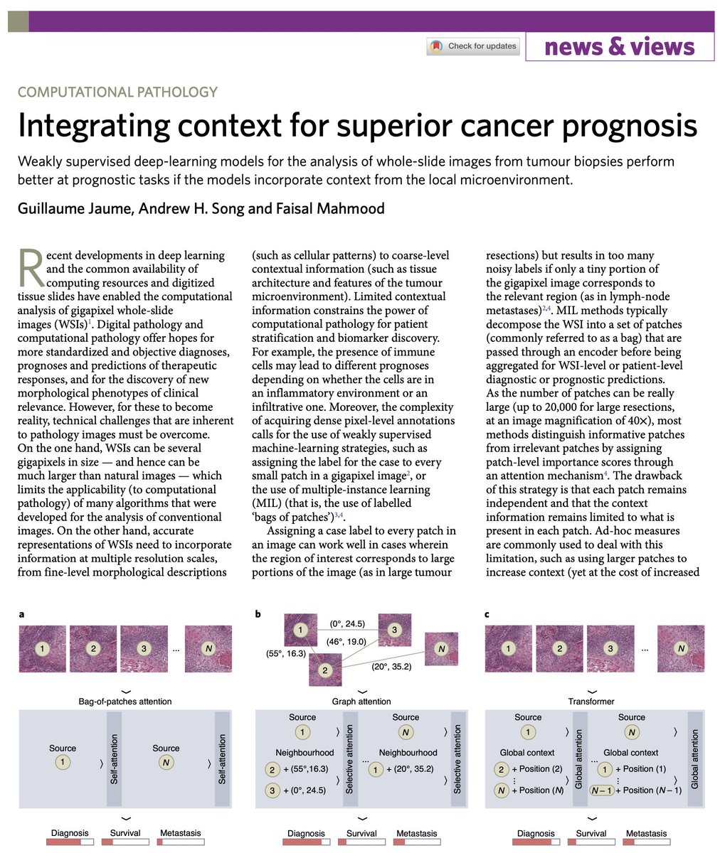 Nature Biomedical Engineering tweet media