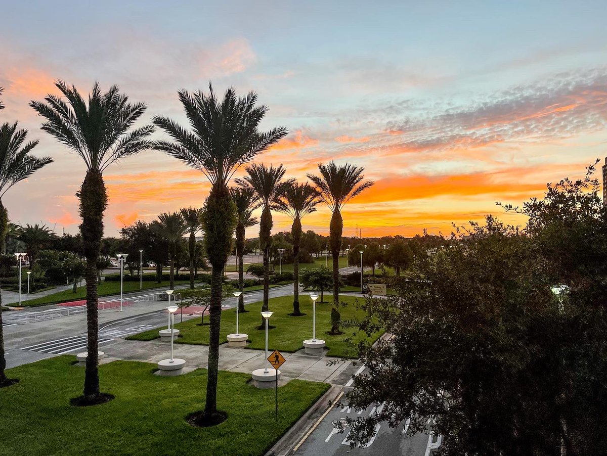 SleimanEnt's tweet photo. Good morning from the @ICSC breakfast!
📅: ICSC Florida August 28-30
📍: Booth 2841
#sleiman #ICSCFlorida https://t.co/y44qa2MgMe