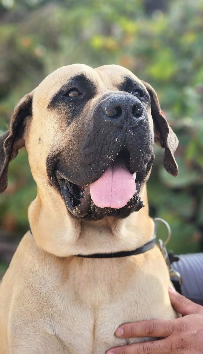 Tu partida si que me ha dolido descansa en paz muñeco ❤️