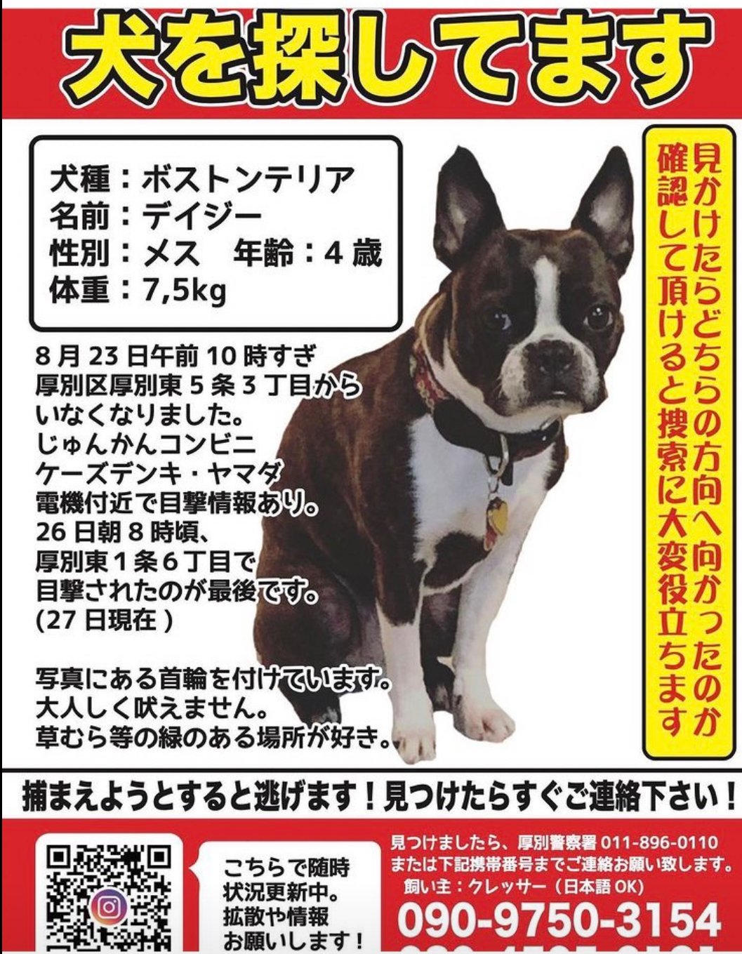 札幌迷子犬 Twitter Search Twitter