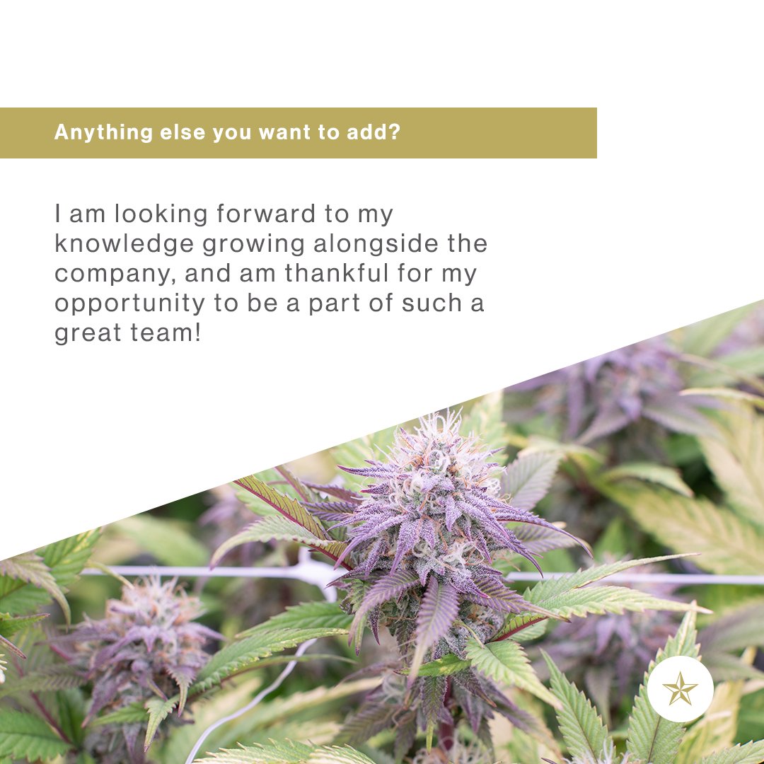 Greenmeadows's tweet photo. You met Joe, then you met Cole… now meet Cale! Cale Young is the third member of our amazing extraction team. These guys are responsible for the production of our brand new flavor-packed vapes, now at a dispensary near you 🔥 https://t.co/obD5l5Jfpt
