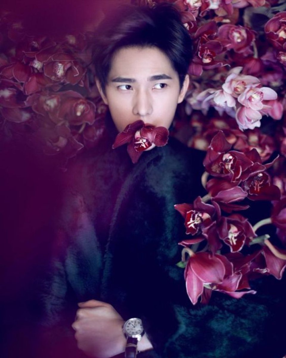 wetvmalaysia's tweet photo. Classic; not your mom's orchids.
Get your dose of Yang Yang on #WeTVMY, all day, any day!
#YangYang
#WhoRulesTheWorld
#YouAreMyGlory
#EvernightS2
#TheKingsAvatar https://t.co/mF2wS2sAM8