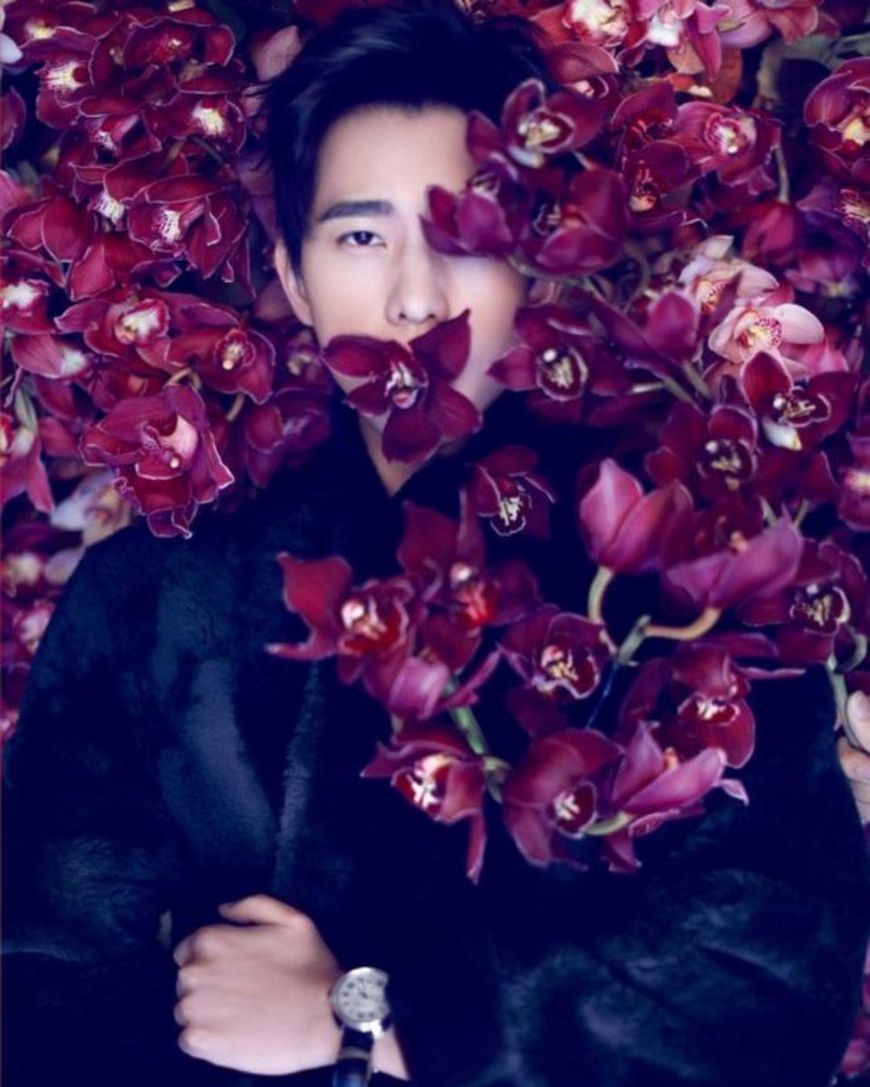 wetvmalaysia's tweet photo. Classic; not your mom's orchids.
Get your dose of Yang Yang on #WeTVMY, all day, any day!
#YangYang
#WhoRulesTheWorld
#YouAreMyGlory
#EvernightS2
#TheKingsAvatar https://t.co/mF2wS2sAM8
