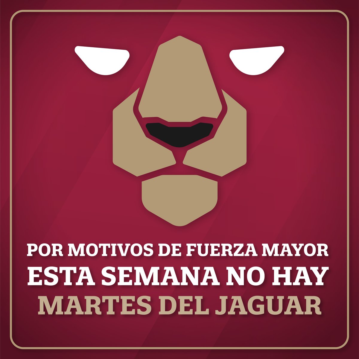 Layda Sansores tweet media